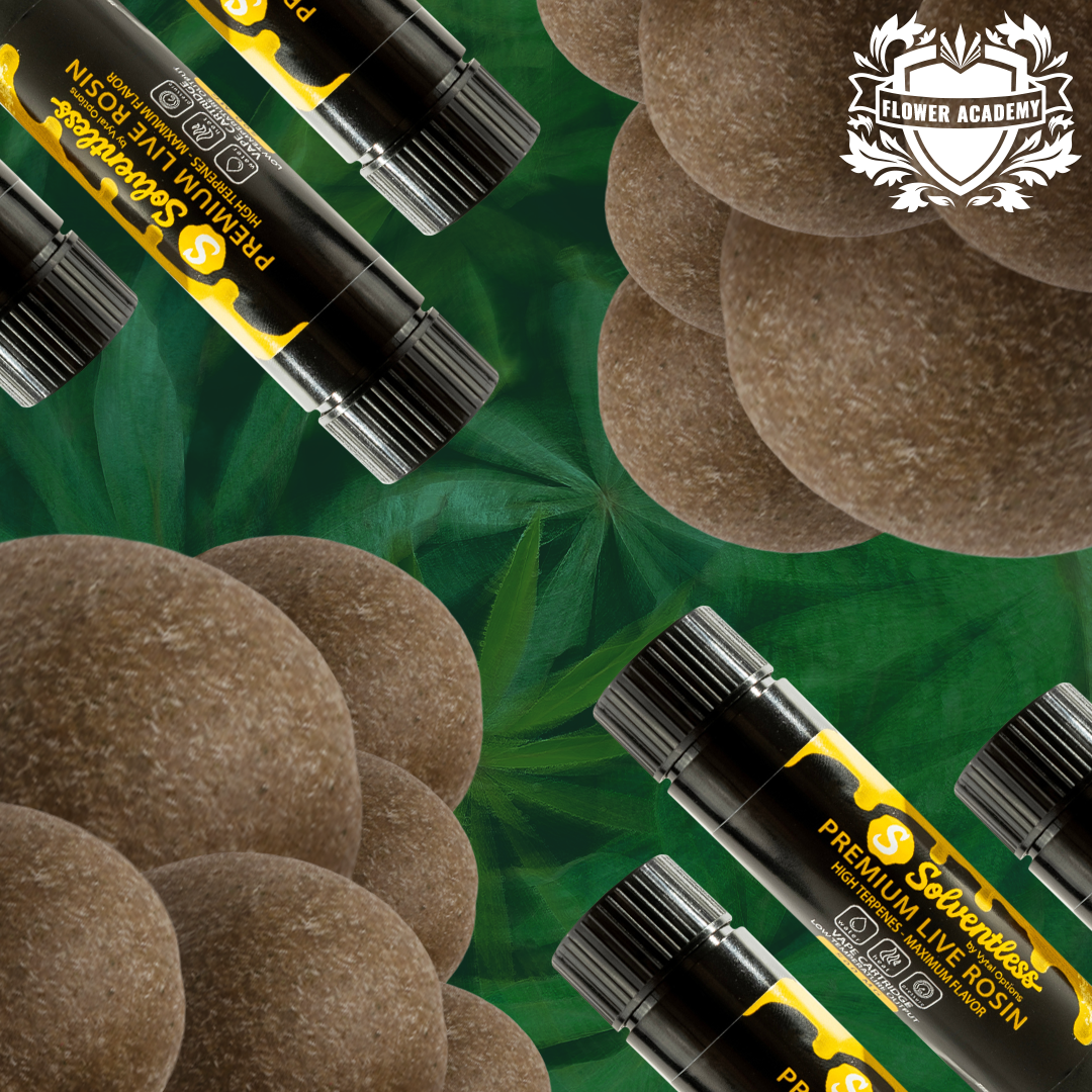 vytal-options-blog-what-is-a-solventless-concentrate